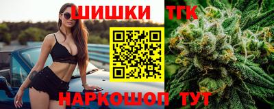 МДПВ Пушкино