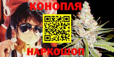 МДПВ Пушкино